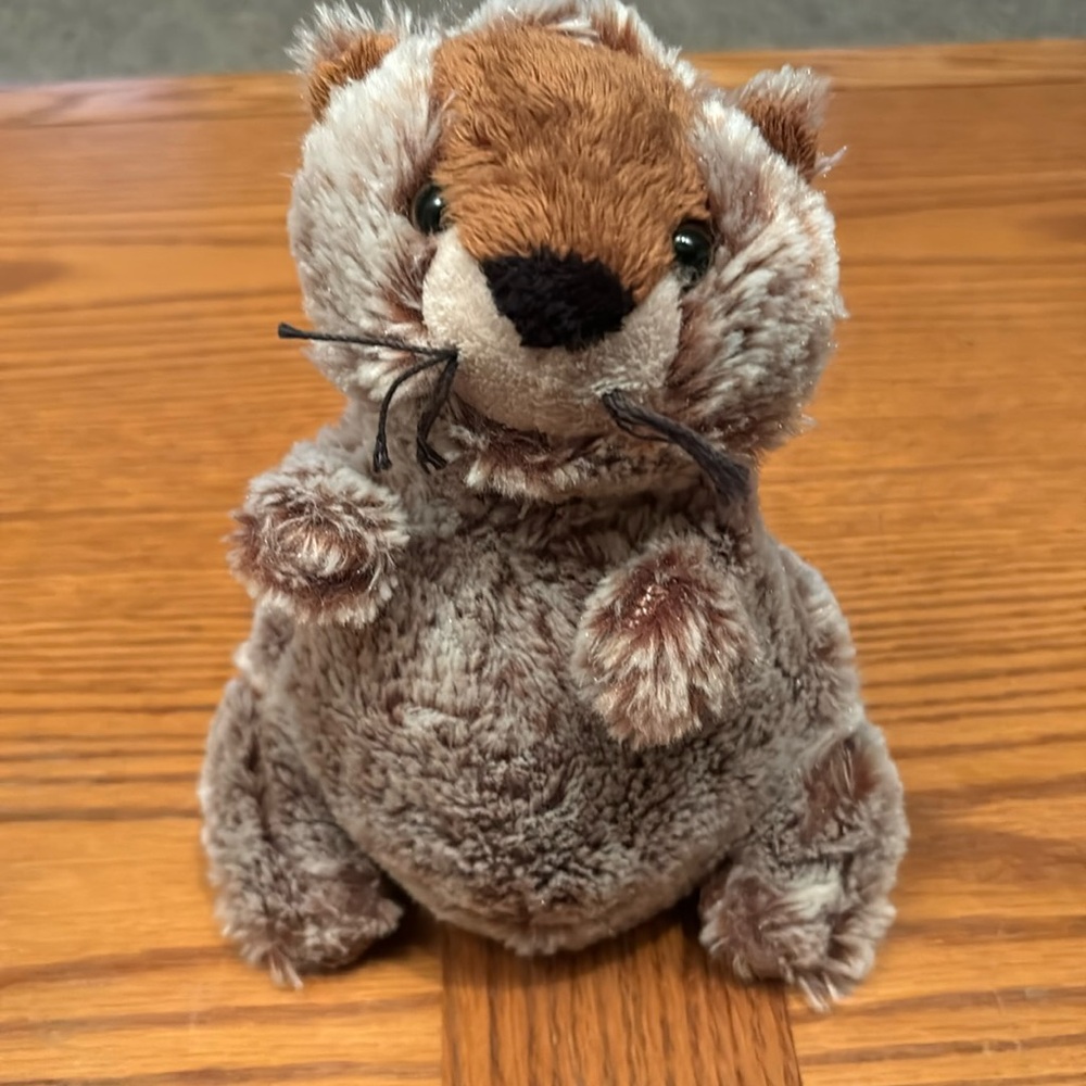 Ganz groundhog